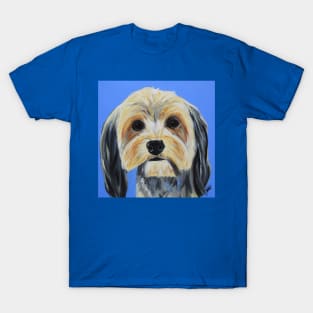 Amani the Yorkie T-Shirt